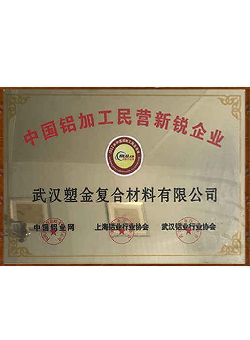 中國（guó）鋁加工民營新銳企業